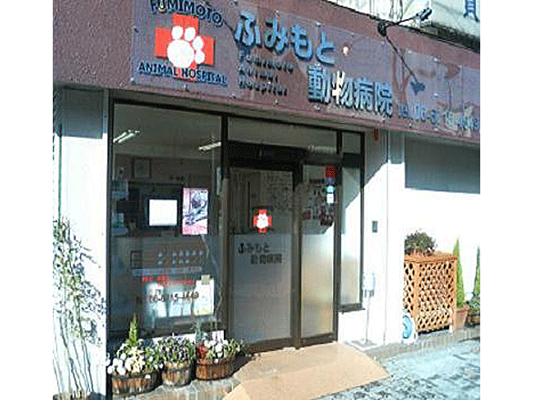 ふみもと動物病院