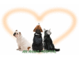 アイン動物病院南千里病院