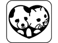 ゆかわ動物病院