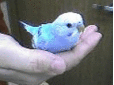 みのり動物病院