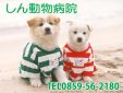 しん動物病院