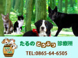 たるのどうぶつ診療所