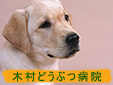 木村どうぶつ病院