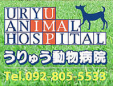 うりゅう動物病院