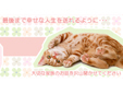 かとう犬猫病院