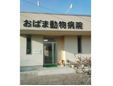 おばま動物病院