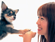 山田愛犬病院