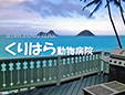くりはら動物病院