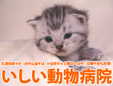 いしい動物病院
