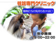 田むら往診専門獣医師