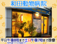 和田動物病院