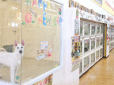 空港ドッグセンター南津守店