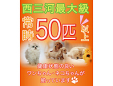 丸弘ペットセンター